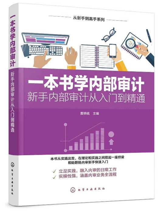 从新手到高手系列一本书学内部审计新手内部审计从入门到精通内部审计全流程详解内部审计实战范本内部审计从业者培训实用指南图书 商品图0