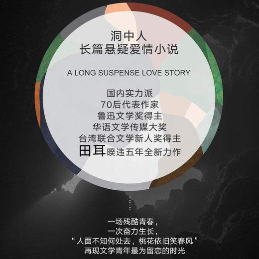 洞中人 实力派，70后代表作家田耳著作 一个时代的喧嚣与孤独  成长的复杂与人性的丰富 长篇悬疑爱情小说 畅销文学 商品图2