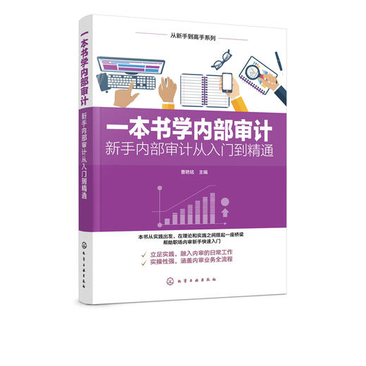 从新手到高手系列一本书学内部审计新手内部审计从入门到精通内部审计全流程详解内部审计实战范本内部审计从业者培训实用指南图书 商品图5