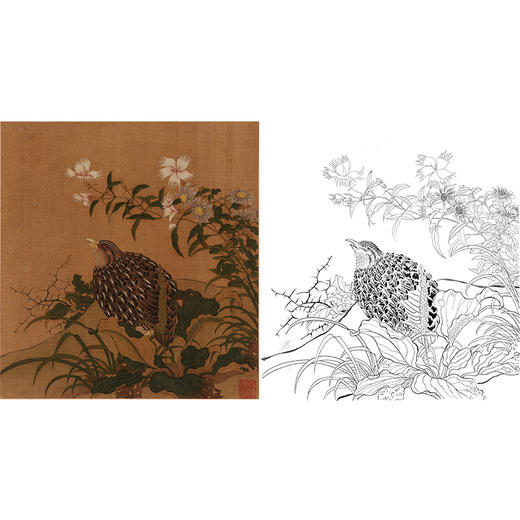 工笔画白描底稿明清花鸟《鹌鹑百花图》斗方小品册页-多种白描尺寸可选-MQ02 商品图0