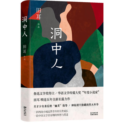 洞中人 实力派，70后代表作家田耳著作 一个时代的喧嚣与孤独  成长的复杂与人性的丰富 长篇悬疑爱情小说 畅销文学 商品图4
