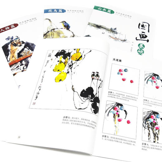 国画基础教程 蔬果篇 国画入门基础教程书临摹画册入门书画画书教材美术教程水墨画教程写意画技法书中国画技法入门到精通教材教程 商品图2