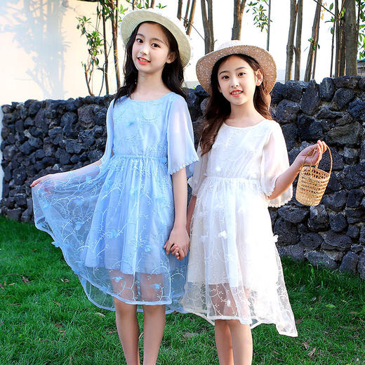 YN-8827（有亲子码）夏季2020新款童装淑女中大童绣花公主裙 商品图0