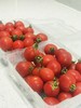 【活动】上海本地樱桃小番茄　2盒/份    400g/盒  好吃实惠　 商品缩略图0