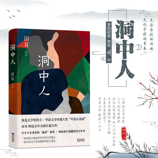 洞中人 实力派，70后代表作家田耳著作 一个时代的喧嚣与孤独  成长的复杂与人性的丰富 长篇悬疑爱情小说 畅销文学 商品图0