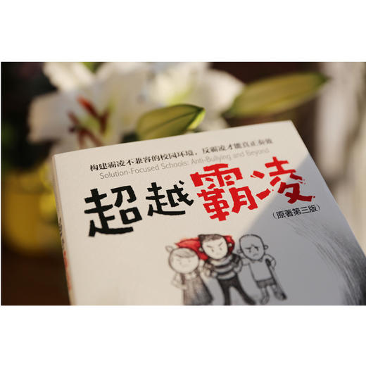 超越霸凌 苏·扬 霸凌事件高i效应对方式家庭教育书籍男孩子女孩子自我保护告别校园霸凌儿童性侵犯预防书籍青少年中小学反霸凌参考 商品图3