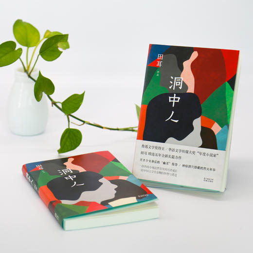 洞中人 实力派，70后代表作家田耳著作 一个时代的喧嚣与孤独  成长的复杂与人性的丰富 长篇悬疑爱情小说 畅销文学 商品图1