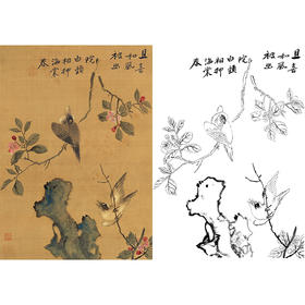 工笔画白描底稿明清花鸟《海棠白头图轴》斗方小品册页-多种白描尺寸可选-MQ14
