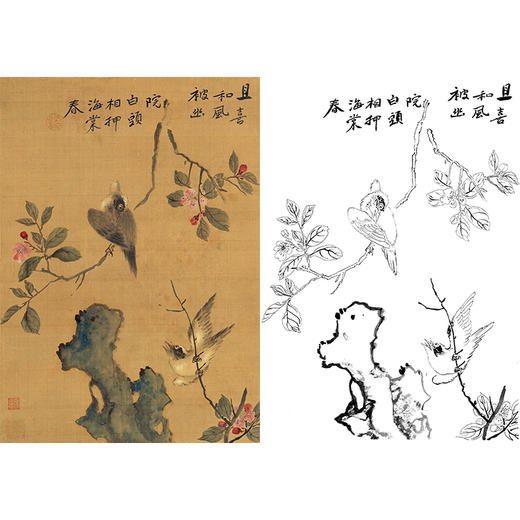 工笔画白描底稿明清花鸟《海棠白头图轴》斗方小品册页-多种白描尺寸可选-MQ14 商品图0