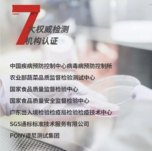 保食安 食物净化机 商品图2