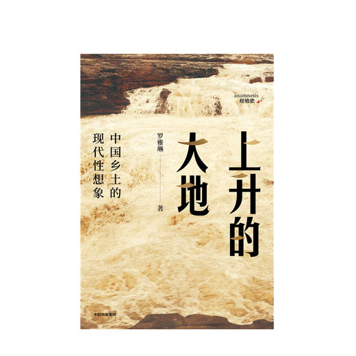 上升的大地：中国乡土的现代性想象 罗雅琳 著 社会科学 乡村 农村 北大才女博士 中信出版社图书 正版 商品图2