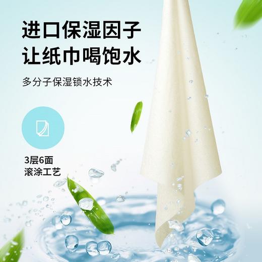 无染车载醒神纸巾 单罐装 商品图3