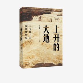 上升的大地 中国乡土的现代性想象 罗雅琳 著 社会科学 乡村 农村 北大才女博士 中信