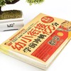 幼小衔接整合教材全套一日一练学前班冲刺100分测试卷10册3-6岁 商品缩略图4