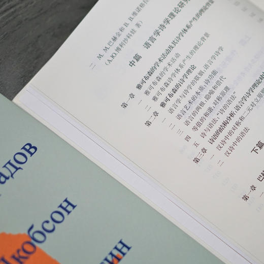 当代俄罗斯修辞理论三题 商品图6