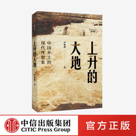 上升的大地：中国乡土的现代性想象 罗雅琳 著 社会科学 乡村 农村 北大才女博士 中信出版社图书 正版