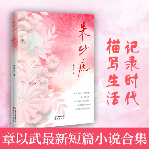 朱砂痣 章以武著 事业奋斗婚姻和爱情的情感故事中短篇小说集 商品图0