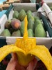 云南有机金凤凰芒果5斤装（大个，2-3个/斤）_DX 商品缩略图2