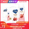 纯甄果粒轻酪乳白桃石榴味风味酸牛乳PET瓶230g×10瓶 商品缩略图0