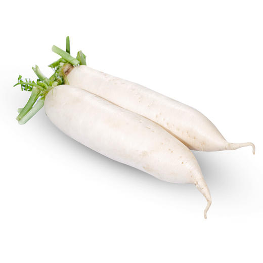 白萝卜1个（约1000-1200g） 商品图0