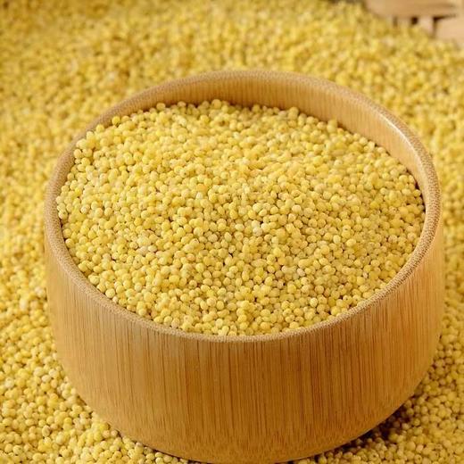【24.5元5斤】散小米（0100555） 商品图2