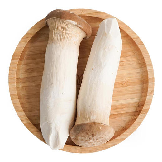 杏鲍菇500g(±50g) 商品图0