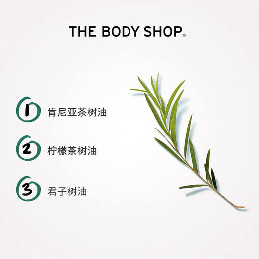 TBS茶树精油祛痘棒2.5ml 商品图5