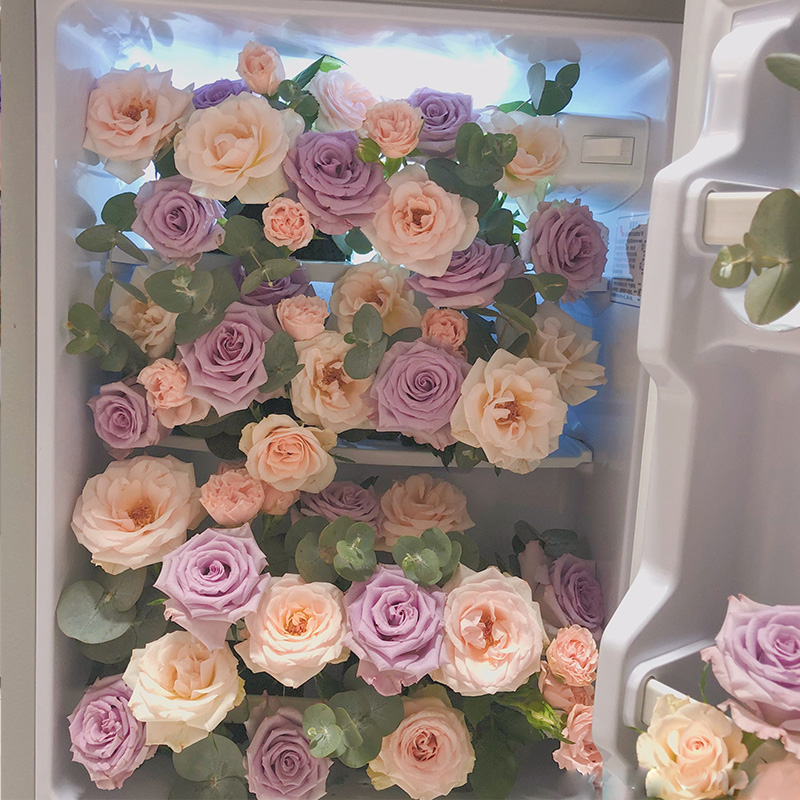 冰箱鲜花玫瑰惊喜浪漫个性定制520情人节告白求婚生日告白求婚结婚
