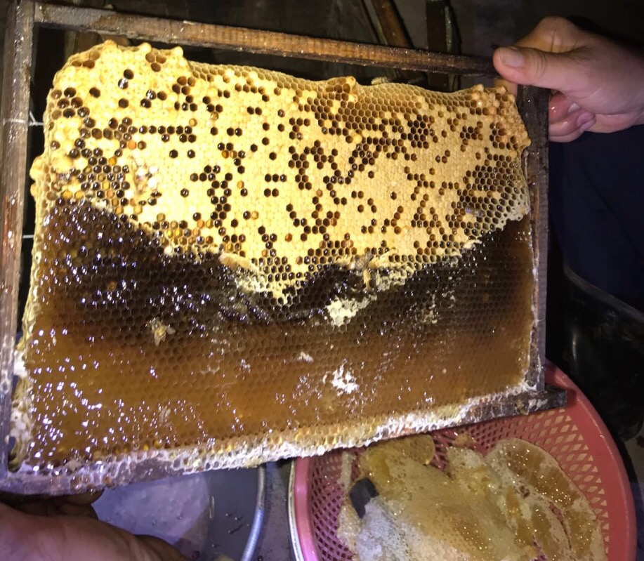 高山农家蜂蜜（2瓶包邮）偏远地区不包邮