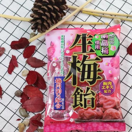 生梅糖-4903316430805-1*10 商品图0