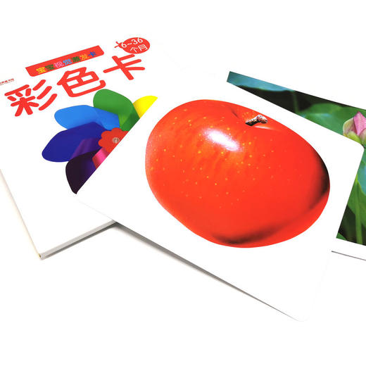 婴幼儿视觉激发卡（全4册） 商品图3