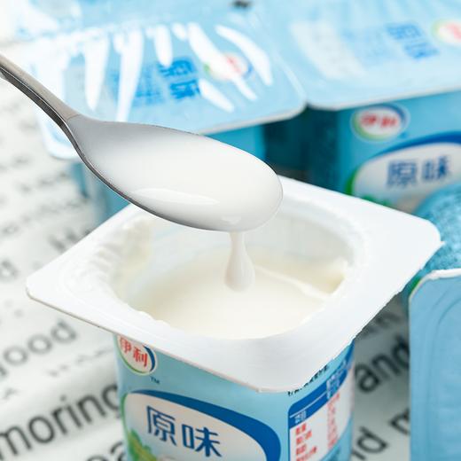 伊利风味发酵乳原味100g*24杯 商品图1