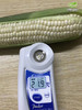 云南牛奶水果玉米4斤装-DX 商品缩略图1