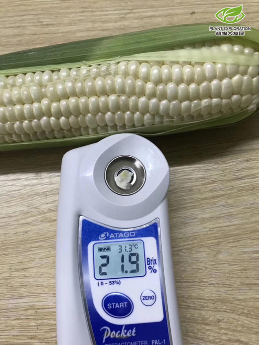 云南牛奶水果玉米4斤装-DX 商品图1