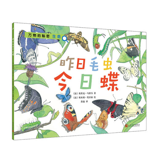 万物的秘密|生命：昨日毛虫今日蝶（为孩子们的心中播下一颗够文艺、够浪漫、够多情的科学种子）3000370 商品图0