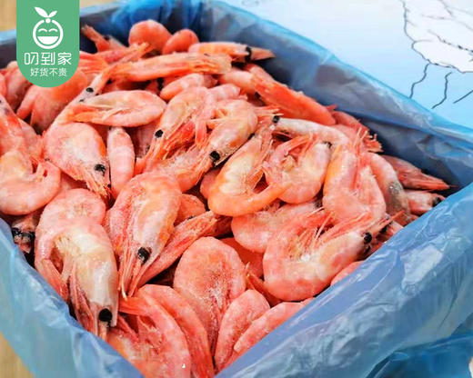 丹麦北极甜虾/1箱（带箱约1kg，80-100只） 商品图5