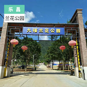 韶关乐昌-九福兰花公园