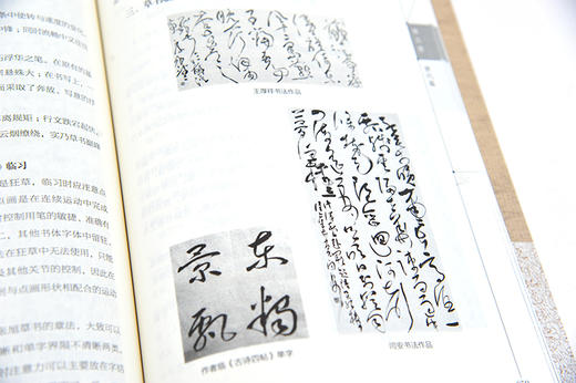 中国书法草书24讲 书法书写姿势书法基本功临摹范本字体练习本执笔用笔中国书法发展史书大篆小篆草书楷书行书隶书书碑帖讲解解析 商品图4