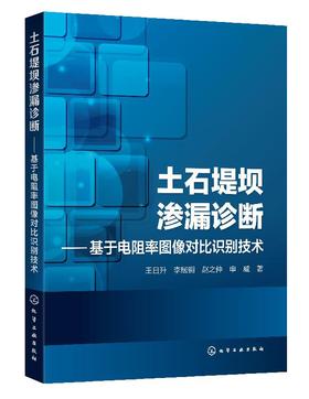 土石堤坝渗漏诊断 基于电阻率图像对比识别技术 王日升 基于土石堤坝三维电场分布的渗漏诊断土石堤坝检测电阻率土石坝渗透性诊断