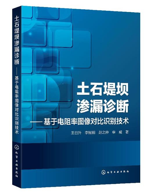 土石堤坝渗漏诊断 基于电阻率图像对比识别技术 王日升 基于土石堤坝三维电场分布的渗漏诊断土石堤坝检测电阻率土石坝渗透性诊断 商品图0