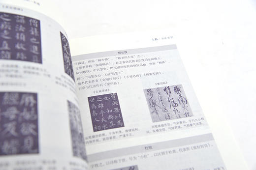 学生必考书法常识与文字知识一本通  高育娟 大篆小篆隶书草书楷书行书书体特点技巧书法欣赏书籍 汉字繁简体 繁简体应用转换书籍 商品图3