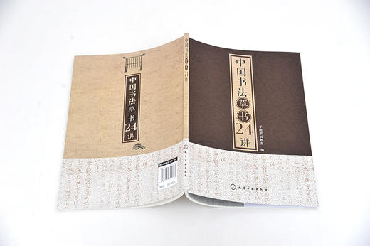 中国书法草书24讲 书法书写姿势书法基本功临摹范本字体练习本执笔用笔中国书法发展史书大篆小篆草书楷书行书隶书书碑帖讲解解析 商品图3