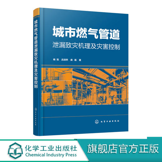 城市燃气管道泄漏致灾机理及灾害控制 杨凯 城市燃气管道事故处理技术书 城市燃气管道泄漏灾害防治控制书 燃气管道应急管理灾害学 商品图0