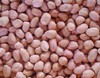 散装生花生米500g(图片不代表产品本身，以实物为准） 商品缩略图1