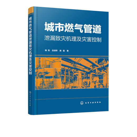 城市燃气管道泄漏致灾机理及灾害控制 杨凯 城市燃气管道事故处理技术书 城市燃气管道泄漏灾害防治控制书 燃气管道应急管理灾害学 商品图1
