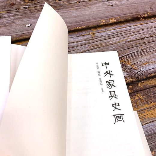 中外家具史画 胡景初 家具设计作品赏析 家具设计发展社会背景经济状况产品类别风格以及工艺技术书籍 家具设计工艺研究参考书籍 商品图4