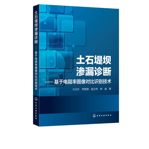 土石堤坝渗漏诊断 基于电阻率图像对比识别技术 王日升 基于土石堤坝三维电场分布的渗漏诊断土石堤坝检测电阻率土石坝渗透性诊断 商品图2