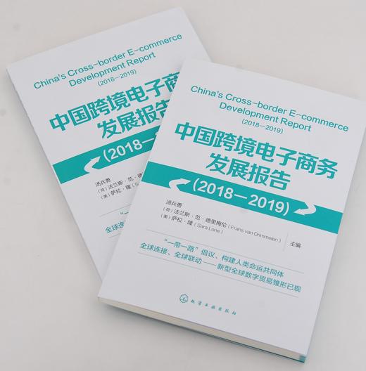 中国跨境电子商务发展报告 2018-2019 汤兵勇 跨境电子商务发展总体发展概况 环境建设与综合试验区发展 企业跨境电子商务典型案例 商品图4