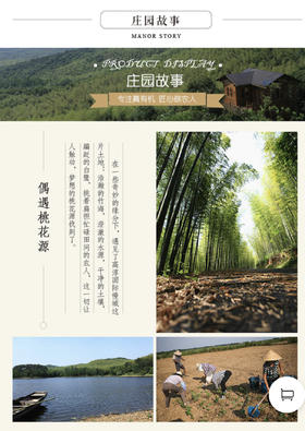 莹莹测试