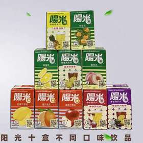 阳光蜂蜜荔枝茶  4890008159932